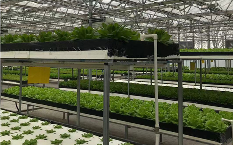 公海贵宾会员检测中心|中国有限公司-官方网站